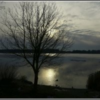 *** :: Aleksandr Gal