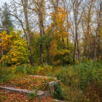 Осенний пейзаж в сентябре :: Александр Синдерёв