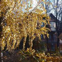 *** :: Валентина Береснева