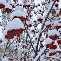 Мой город. :: Венера Чуйкова