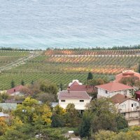 У моря :: Татьяна Тюменка У моря :: Татьяна Тюменка