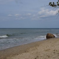 Прогулки вдоль берега моря..... :: Алёна Савина Прогулки вдоль берега моря..... :: Алёна Савина