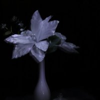 Натюрморт :: Natali 