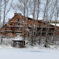 "Ивушка". :: Радмир Арсеньев