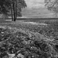 Б.Н :: Николай 