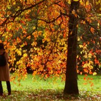 Смотри какая красота :: Юрий. Шмаков