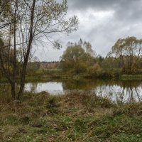 На маленьком пруду. :: Николай