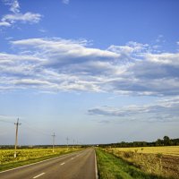 дорога в холки :: Александр Леонов