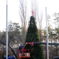 А "деды Морозы" уже куролесят. :: Егор Бабанов