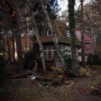 Заброшенка :: Лилия .