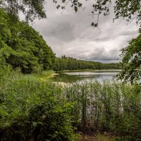 Июльским днём... :: Николай Гирш