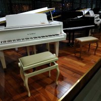 Рояль был весь раскрыт ... :: Андрей Лукьянов Рояль был весь раскрыт ... :: Андрей Лукьянов