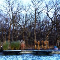 Центральная аллея зоопарка :: Aida10 