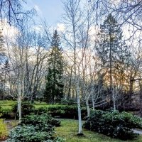 В Японском саду :: Veera V