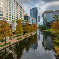 Осень :: **** vedin