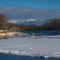 ... :: Жора Житников