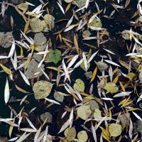 *** :: Валентина Береснева