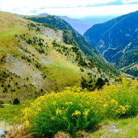 Солнечная погода назад вниз :: Георгий А