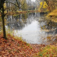 Живописные краски осени :: Рита Симонова