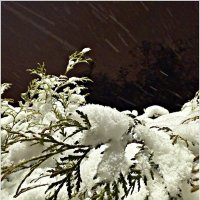 Вечерний этюд. :: Валерия Комова