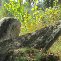 Средний Урал :: Елена Шаламова Средний Урал :: Елена Шаламова