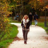 Осень,одиночество,грусть :: Юрий. Шмаков