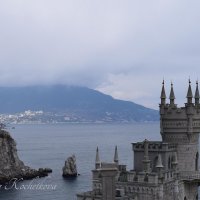 Природа Крыма :: Amazing Cosmea