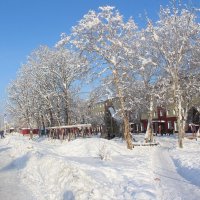 Приморозило :: Александр Белов