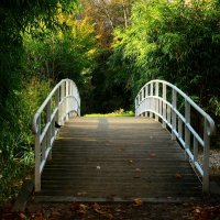 Мостик :: Юрий. Шмаков