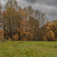 Был день осенний. :: Николай