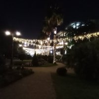 Ночной Сочи :: Виктор 