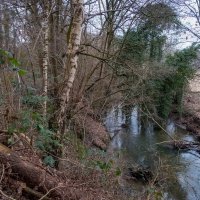 На диком берегу... :: Николай Гирш На диком берегу... :: Николай Гирш