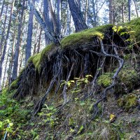 Обрыв :: Barguzin_45 Иваныч