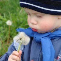 **** :: Игорь Николаев