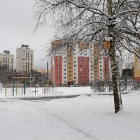 Снег выпал. :: Роланд Дубровский