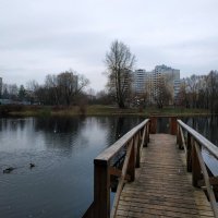 О повседневности :: Андрей Лукьянов