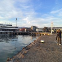 Сухум. Фотографиня :: Фотогруппа Весна