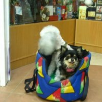 Двое в сумке :: Надежда 