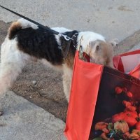 Проверка на дороге :: Надежда Проверка на дороге :: Надежда