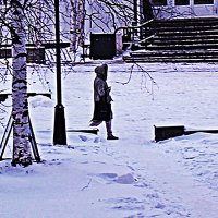 Ноябрь...Уже зима! :: Владимир 