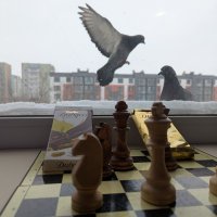 Мир и шахматы :: Андрей Хлопонин Мир и шахматы :: Андрей Хлопонин