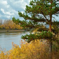 Река Томь :: Дмитрий Конев Река Томь :: Дмитрий Конев