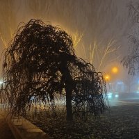 Донецк :: Галина Алексенко 