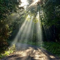 **** :: Александр 