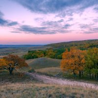 Закат Осени :: Наталья Димова