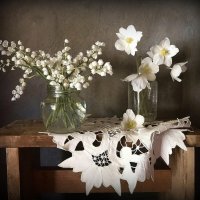 . :: TAMARA КАДАНОВА