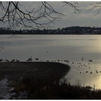 ...дело было к вечеру... :: Aleksandr Gal