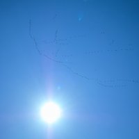 ...за моря дорога дальняя :: Всеволод 