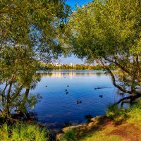 пруд, Петергоф :: Laryan1 