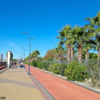 Адлер. Имеретинская (Олимпийская) набережная :: Нина Бутко Адлер. Имеретинская (Олимпийская) набережная :: Нина Бутко